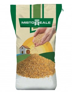 grival_0000_mistoreale