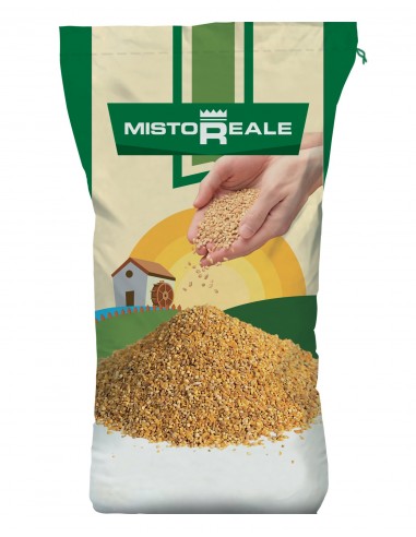 grival_0000_mistoreale